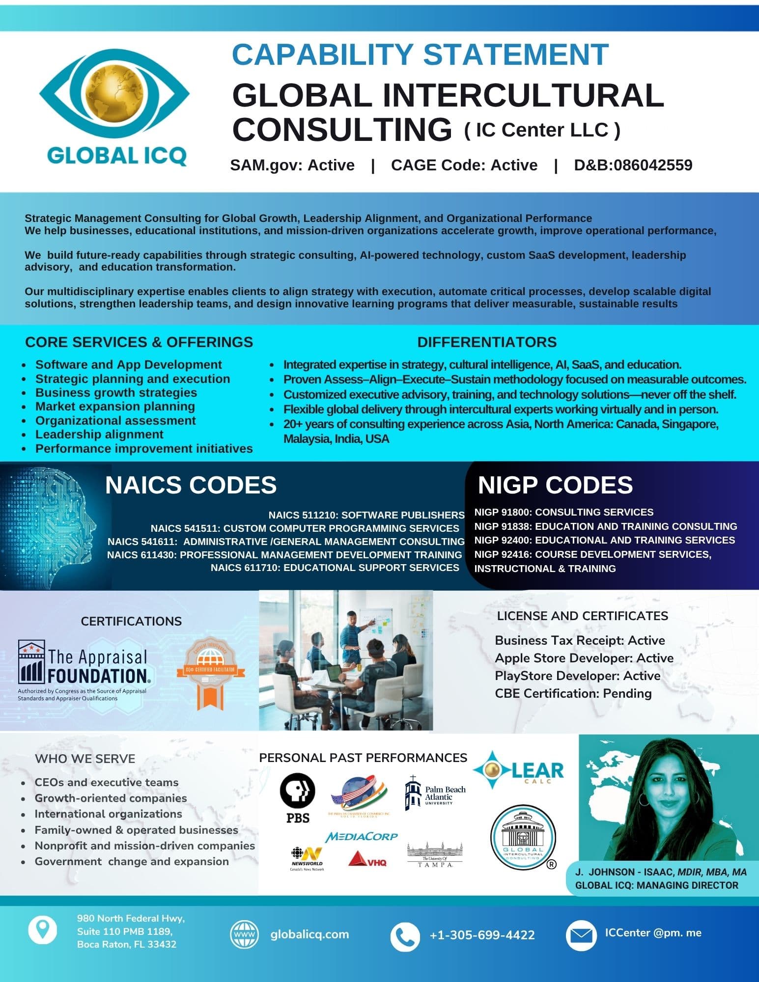 Global ICQ capability statement — one page